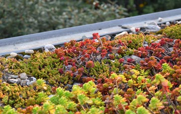 the cost of Midtown green roof installation