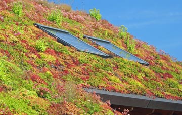 Midtown living roof systems