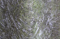 Midtown fibreglass roof work